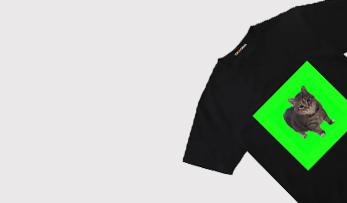 OIIA OIIA GATO<br> NUEVA COLECCION